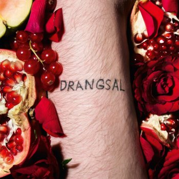Drangsal - Harieschaim Artwork
