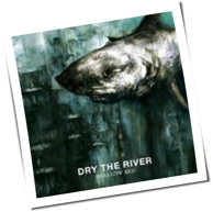 Dry The River - Shallow Bed