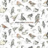 Edwyn Collins - Losing Sleep