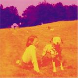 Eels - Blinking Lights And Other Revelations Artwork