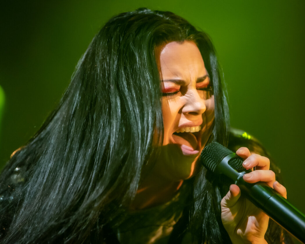 Evanescence – Evanescence.