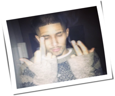 Fakemink