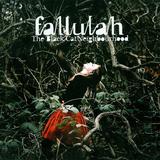 Fallulah - The Black Cat Neighbourhood Artwork