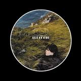 Feist - Let It Die Artwork