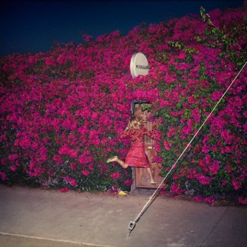 Feist - Pleasure Artwork