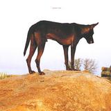 Fenin - Grounded