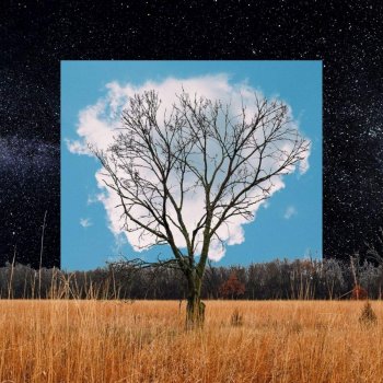 Fink (UK) - Bloom Innocent Artwork