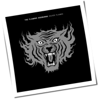Flaming Sideburns - Silver Flames