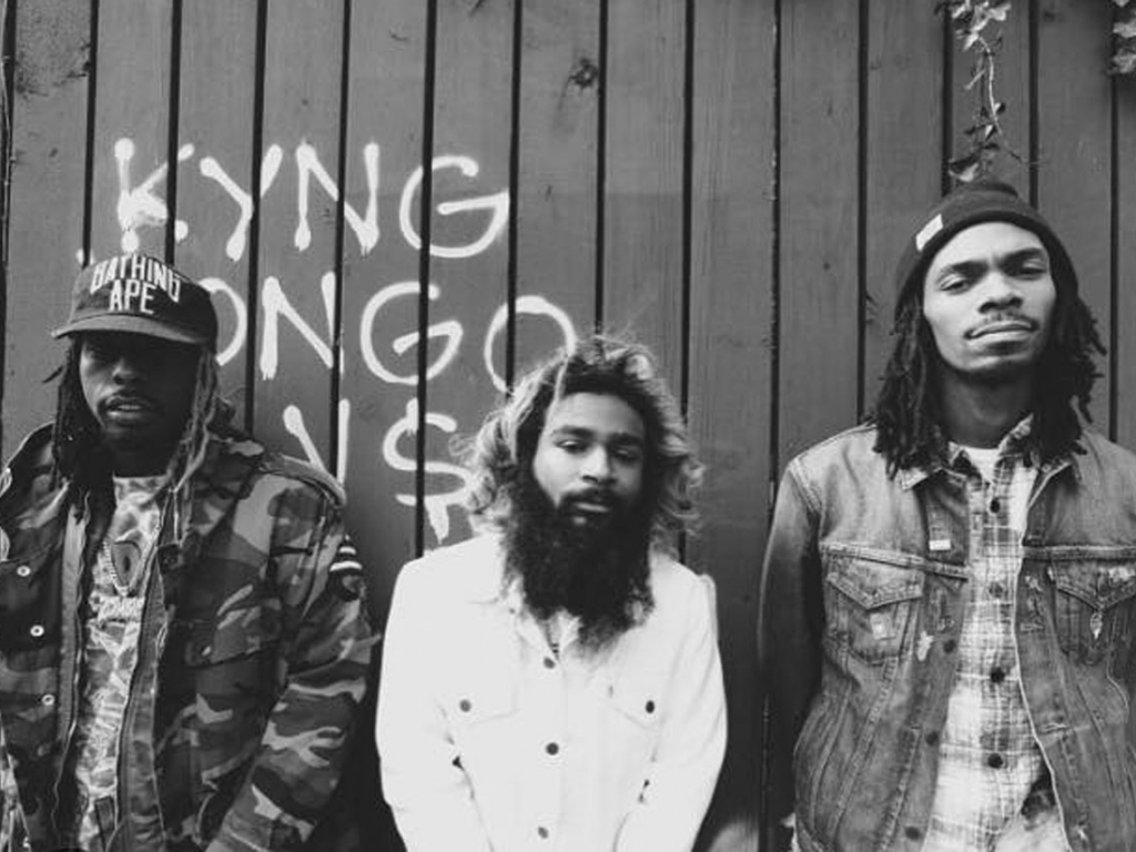 Flatbush Zombies