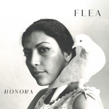 Flea - Honora Artwork