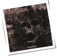 Fleshcrawl - Soulskinner