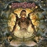 Fleshcrawl - Structures Of Death