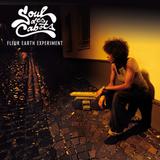 Fleur Earth Experiment - Soul Des Cabots Artwork