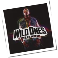 Flo Rida - Wild Ones
