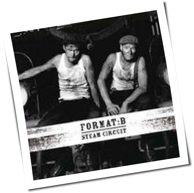 Format B - Steam Circuit