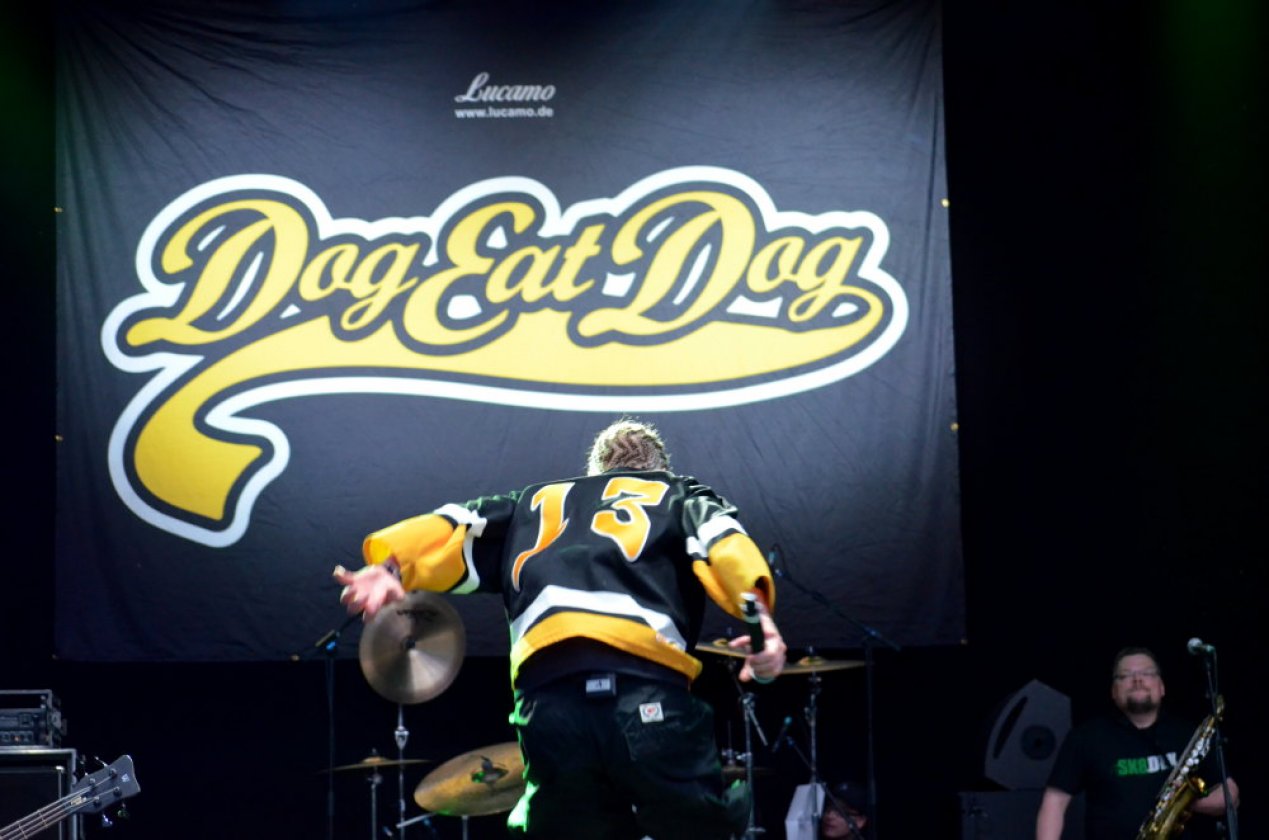 Die Bilder vom Festival. – Dog Eat Dog.