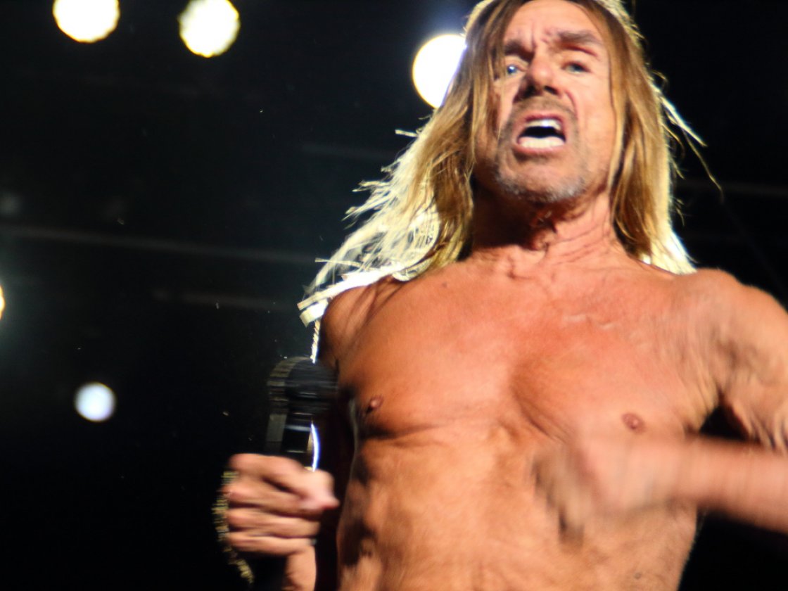 Die Bilder vom Festivalsamstag – Iggy-Action.