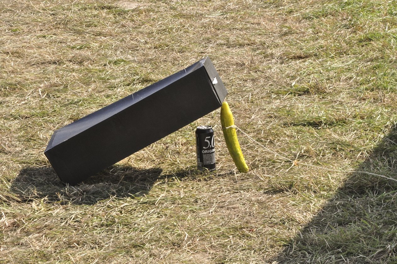 20 Jahre Summer Breeze! Das "Wacken des Südens" ist aus der deutschen Festivallandschaft nicht mehr wegzudenken. – It's a trap!