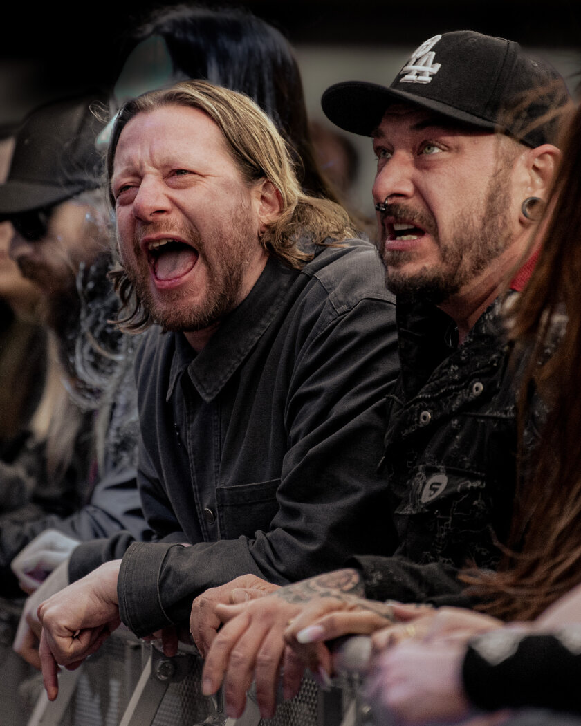 Mit The Boss Hoss, Sick Of It All, Knorkator, Dog Eat Dog, The Subways, Stick To Your Guns u.a. - Tattoo Convention auf hoher See. – Andrew von Comeback Kid hat sich gar ganz nach vorne gekämpft.