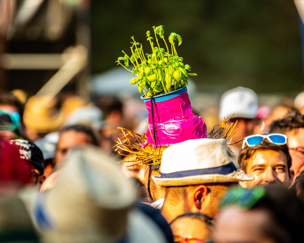 Tausende feiern beim ausverkauften Taubertal Festival mit Kraftklub, Fever 333, AnnenMayKantereit, Callejon, Faber, SDP, Biffy Clyro, Clutch, Kontra K u.a. – Basilikum-Mann.