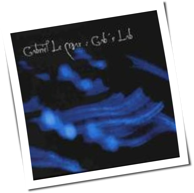 Gabriel Le Mar - Gab's Lab