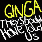 Ginga - They Should Have Told Us Artwork