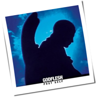 Godflesh - Post Self