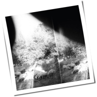 Godspeed You! Black Emperor - Asunder, Sweet And Other Distress