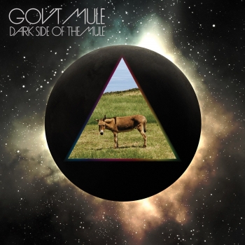Gov't Mule - Dark Side Of The Mule Artwork
