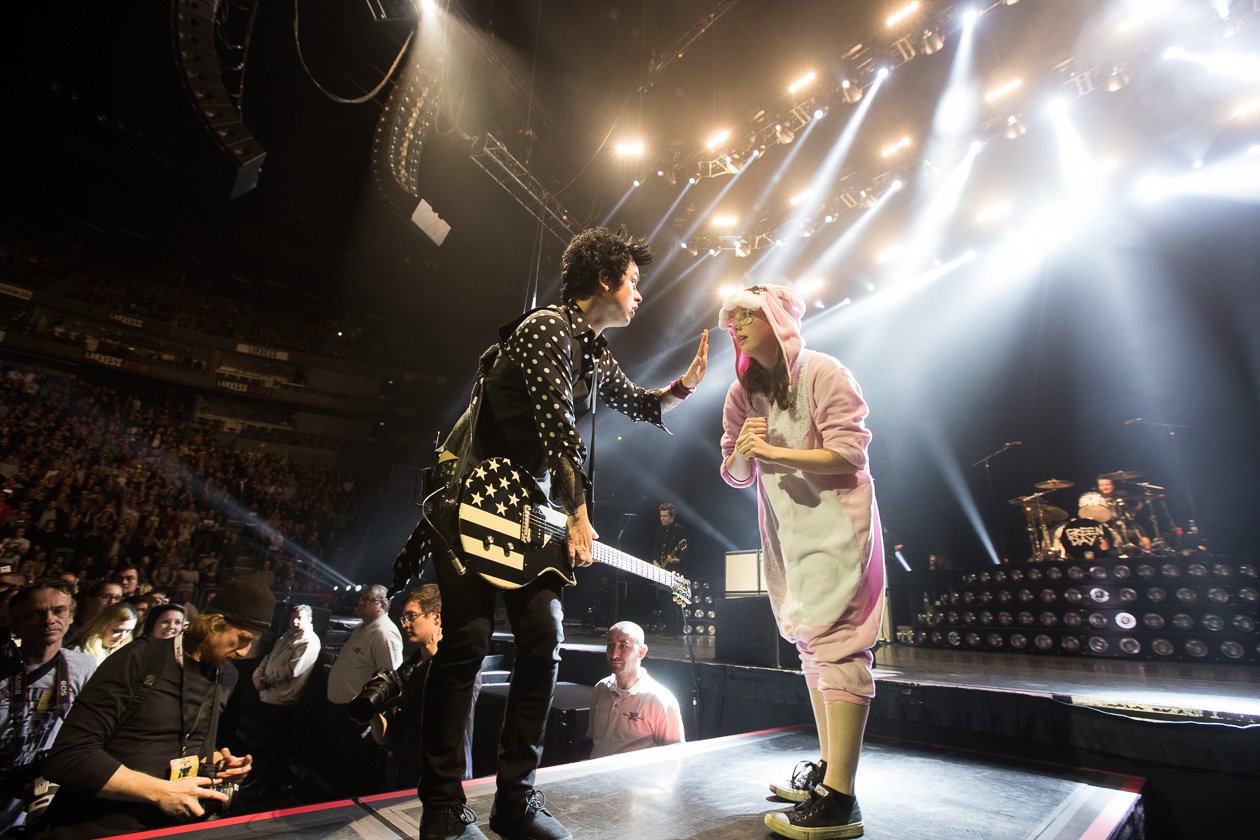 Green Day – Ein Hase ...