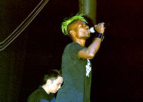 Green Velvet