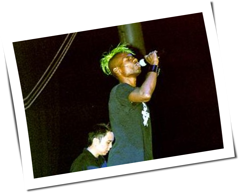 Green Velvet