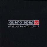 Guano Apes - Walking On A Thin Line Artwork