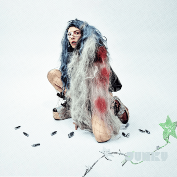 Haiyti - Junky Artwork