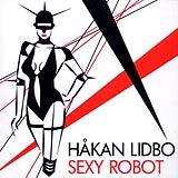 Hakan Lidbo - Sexy Robot Artwork