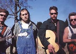 Hayseed Dixie