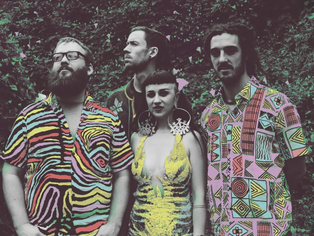 Hiatus Kaiyote