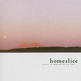 Homeslice - What Is Wrong With You Artwork