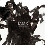 I AM X - Volatile Times Artwork