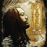 I Wayne - Book Of Life