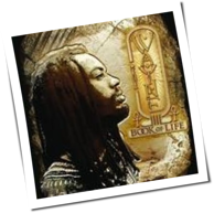 I Wayne - Book Of Life