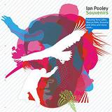 Ian Pooley - Souvenirs Artwork