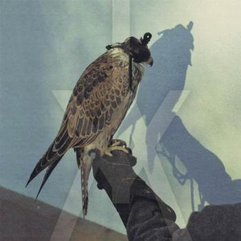 Iceage - You're Nothing Artwork