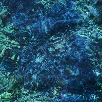 Ichiko Aoba - Luminescent Creatures Artwork