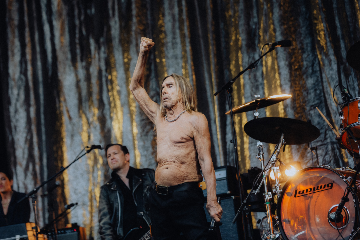 Iggy Pop – Iggy Pop.