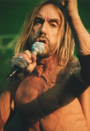 Iggy Pop – Iggy verwandelte das Southside Festival in ein "Fun House" – 