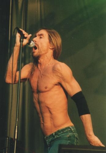 Iggy Pop – Iggy verwandelte das Southside Festival in ein "Fun House" – 