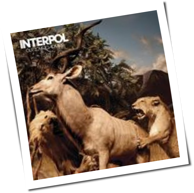 Interpol - Our Love To Admire