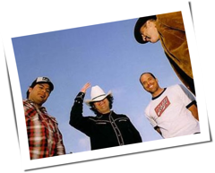 Jackass