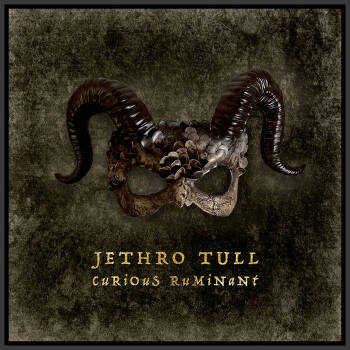Jethro Tull - Curious Ruminant Artwork